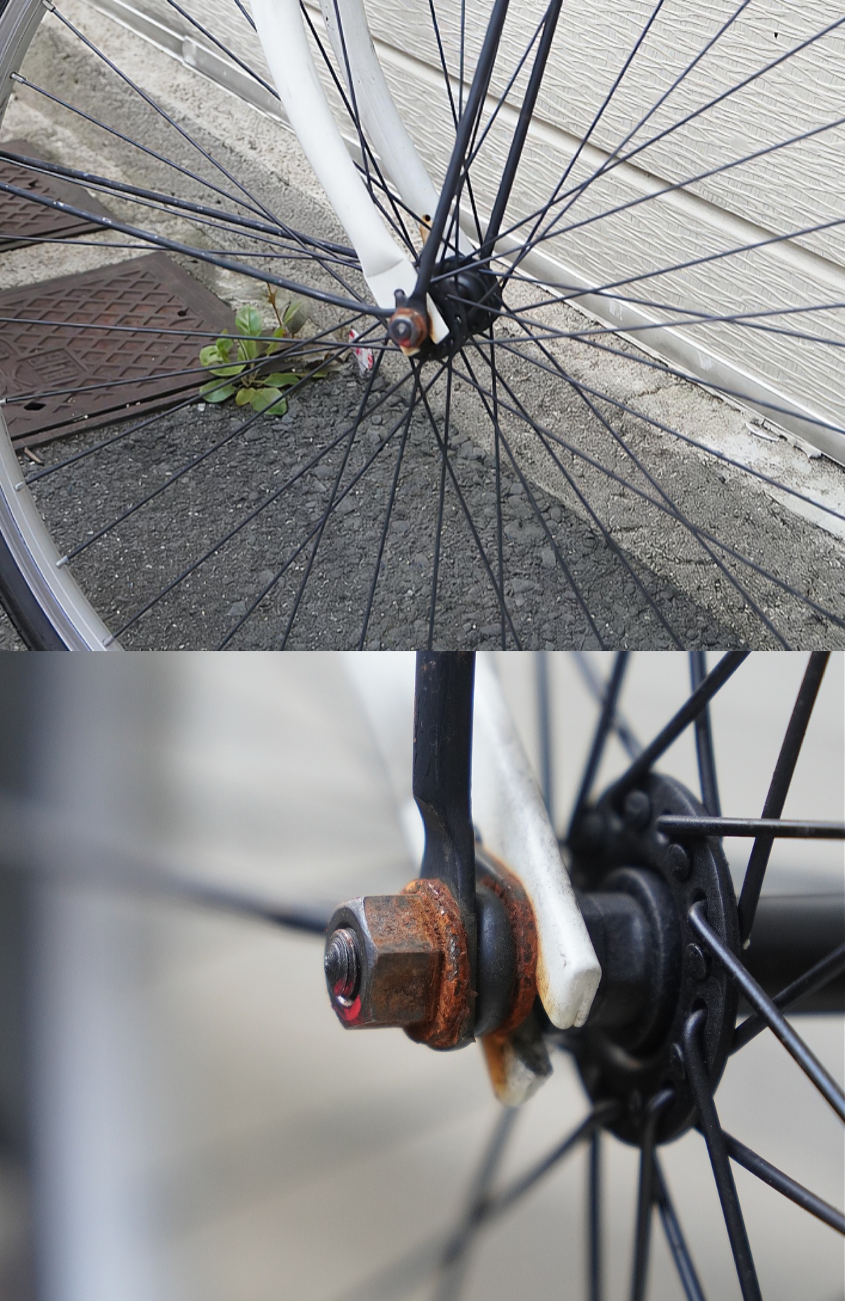 TS泡エアゾール使用前